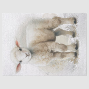 Lamb Sheep Watercolor Tissue Paper