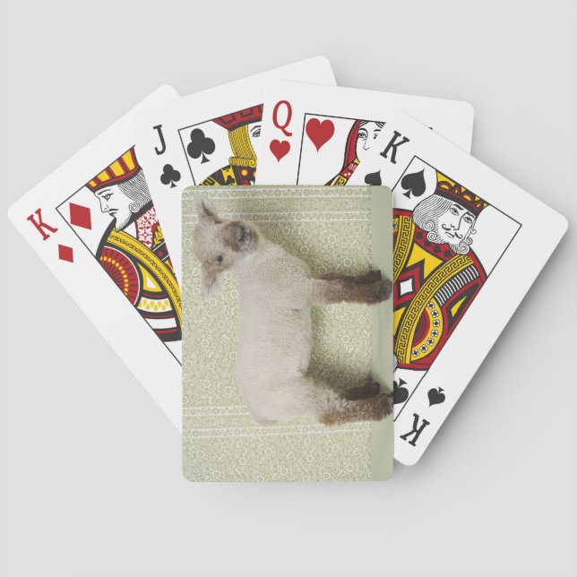 Lamb Standing Indoors, and Floral Wallpaper Playing Cards (Back)
