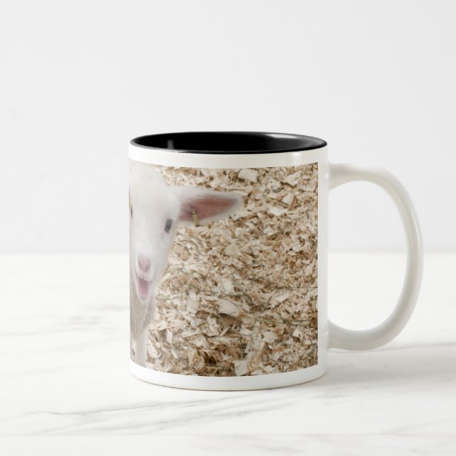 Lamb Two-Tone Coffee Mug (Right)