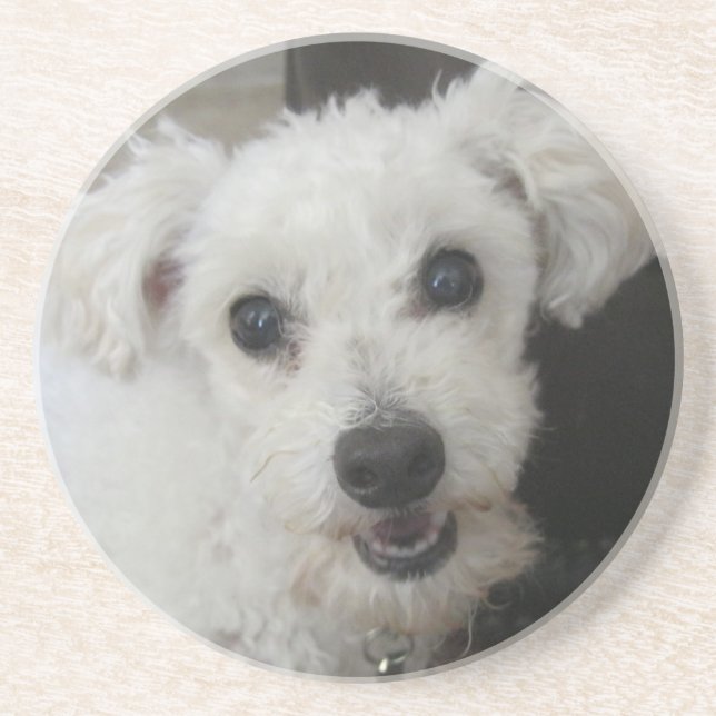 Lambchop II Coaster (Front)