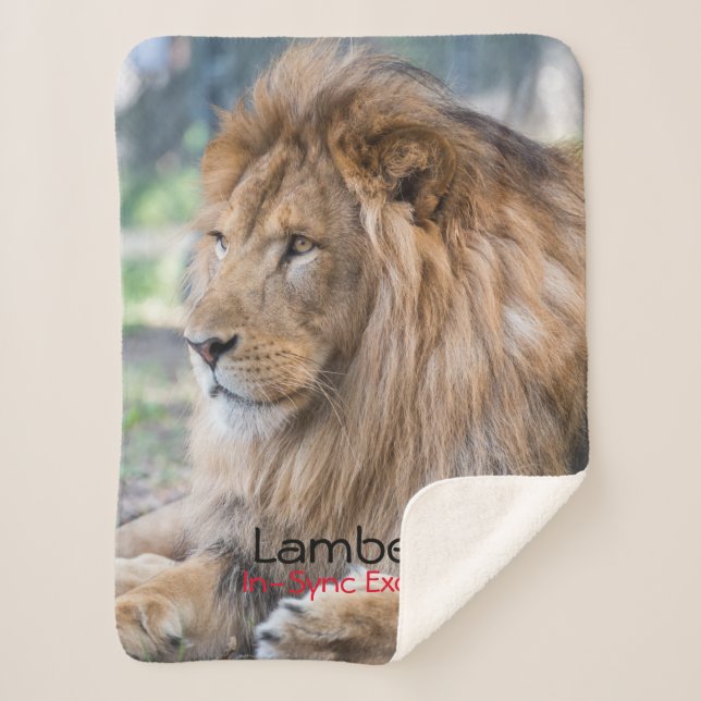 Lamber -  sherpa blanket (Front)