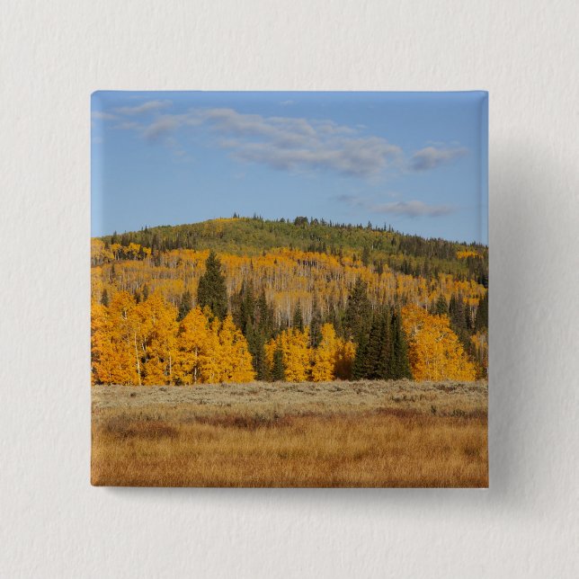 Lambert Hollow, aspen trees 2 Inch Square Button (Front)