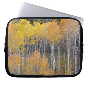 Lambert Hollow, aspen trees Laptop Sleeve