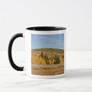 Lambert Hollow, aspen trees Mug