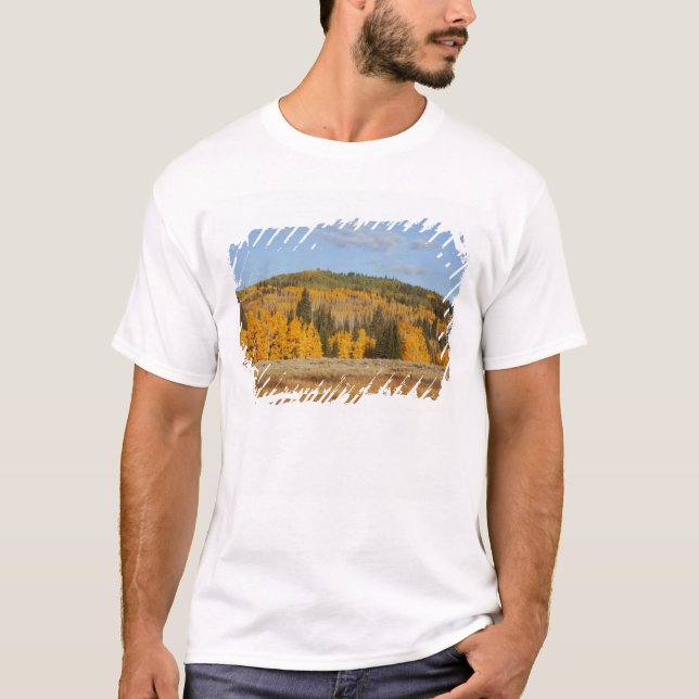 Lambert Hollow, aspen trees T-Shirt (Front)