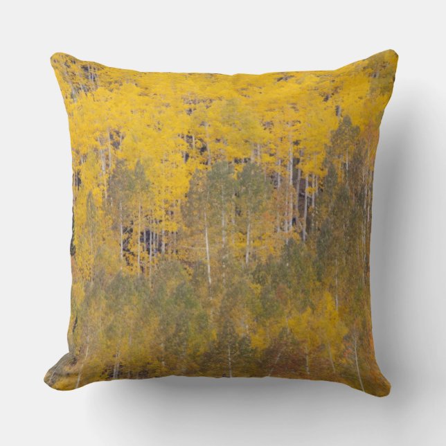 Lambert Hollow, aspen trees Throw Pillow (Front)