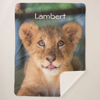 Lambert  sherpa blanket