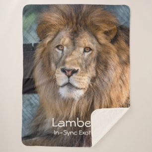 Lambert - sherpa blanket