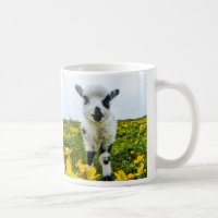 Lambie
