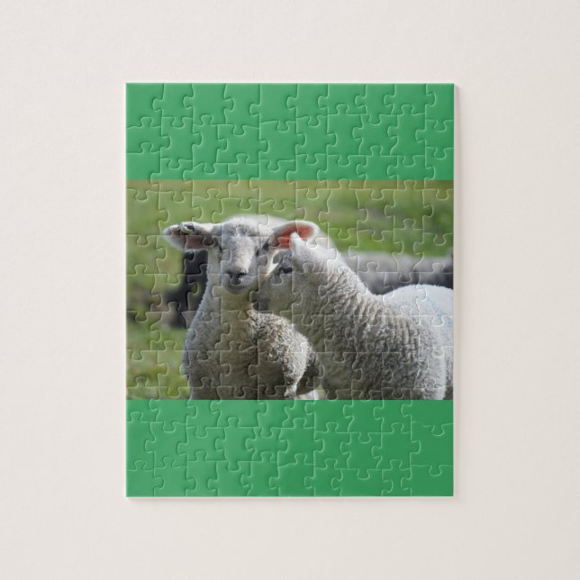 Lambs together jigsaw puzzle (Vertical)