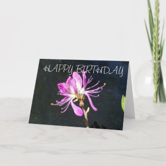 Lambskill Wildflower  Birthday Card