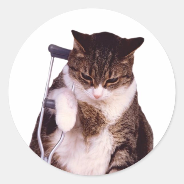 Lame cat classic round sticker (Front)