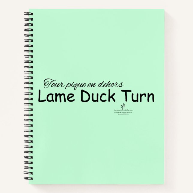 Lame Duck Turn Mint Green and Black Notebook (Front)