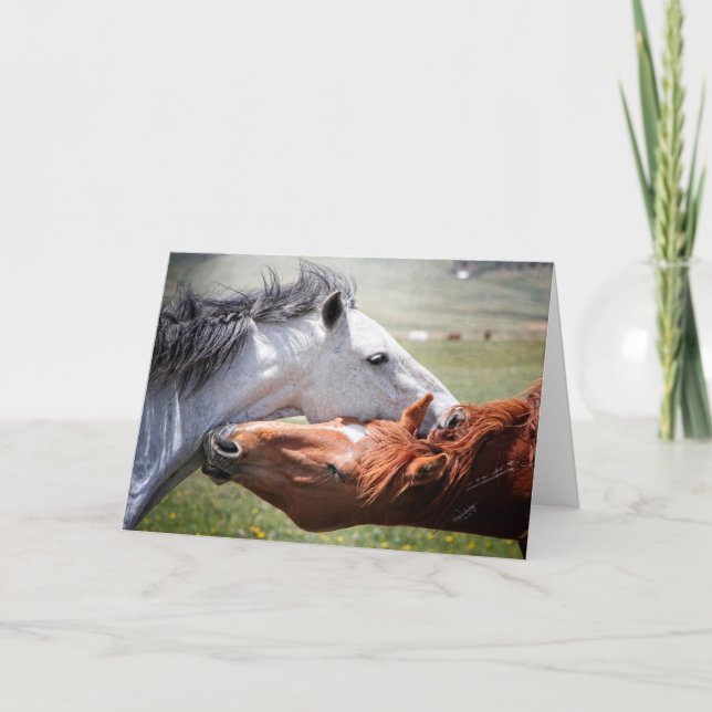 L'âme d'un cheval ! Carte de voeux. (Devant)
