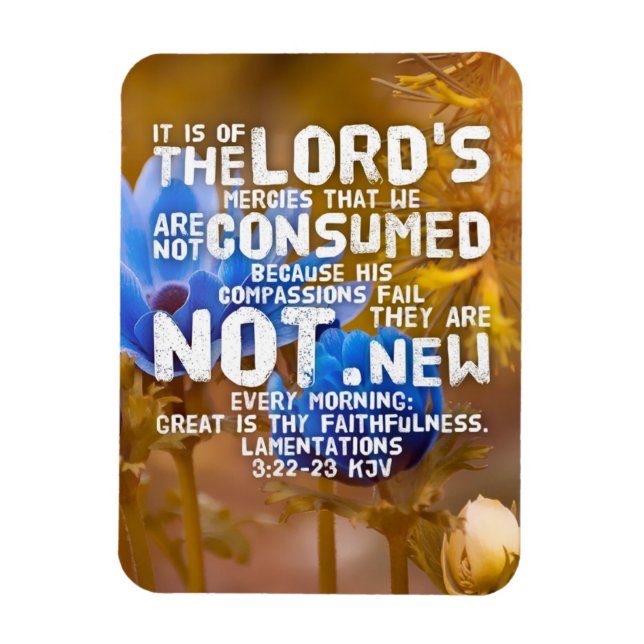 Lamentations 3:22-23 KJV Bible Verse  Magnet (Vertical)