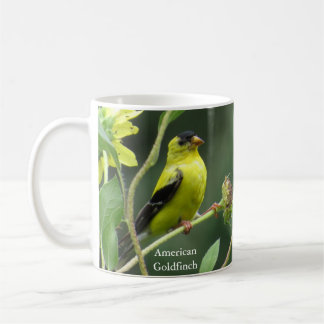 L'Américain Goldfinch Mug par Birding Collectibles