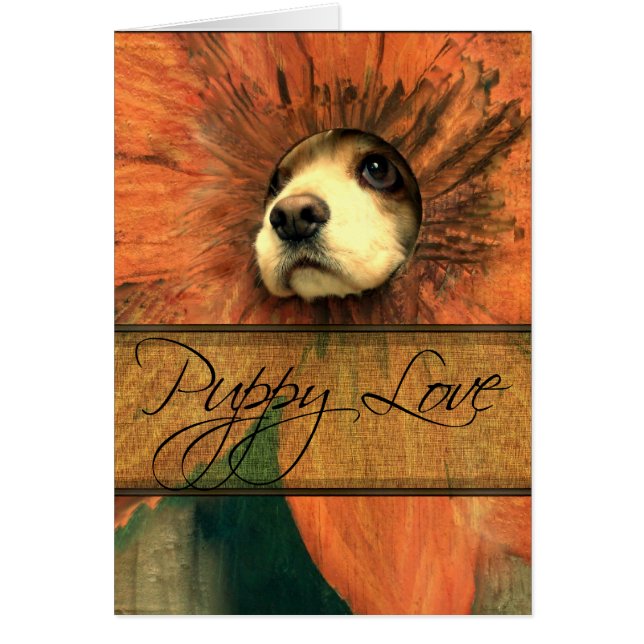 L'amour des chiots (Devant)