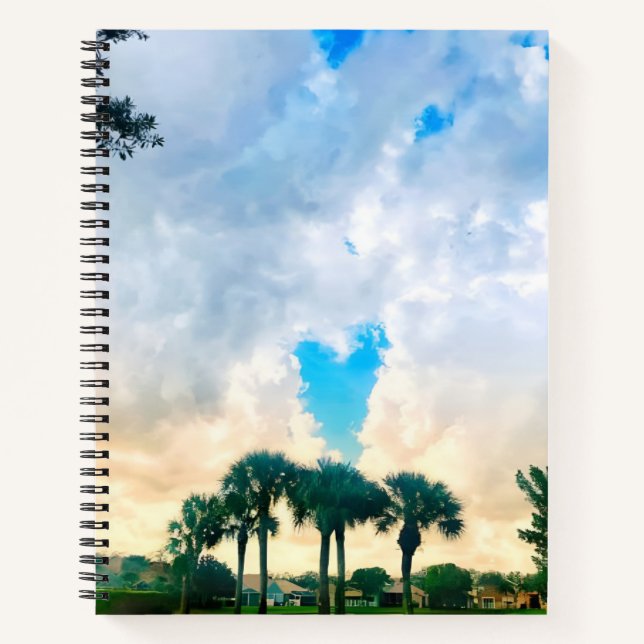 l'amour est dans le carnet aérien (Devant)