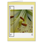 L'AMOUR EST LIS - SALUTATION CHRÉTIENNE