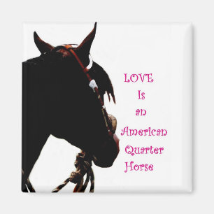 L'amour est un aimant à cheval du quart