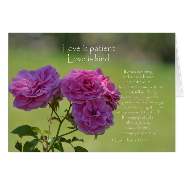 L'amour est un Rose patient (Devant horizontal)