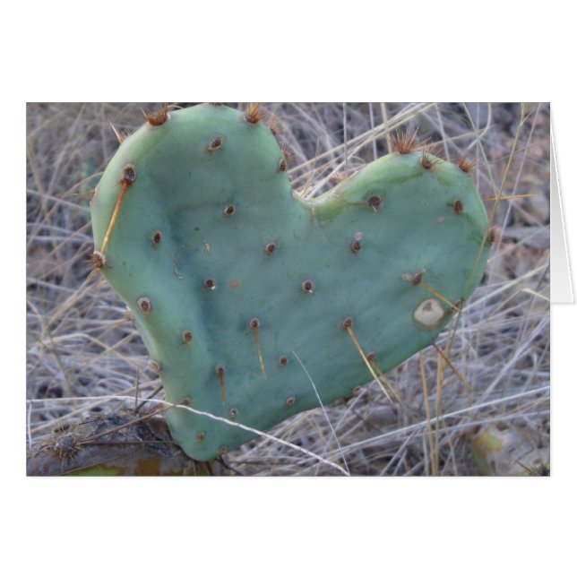 L'amour fait mal (Devant horizontal)