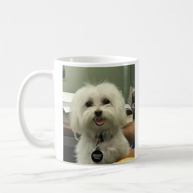 L'amour maltais de cadeau de tasse aiment le (Gauche)
