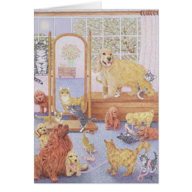 L'amour ne connaît aucune limite (Devant)