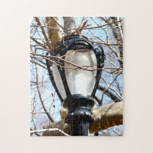 Lamp Post New York Central Park Jigsaw Puzzle