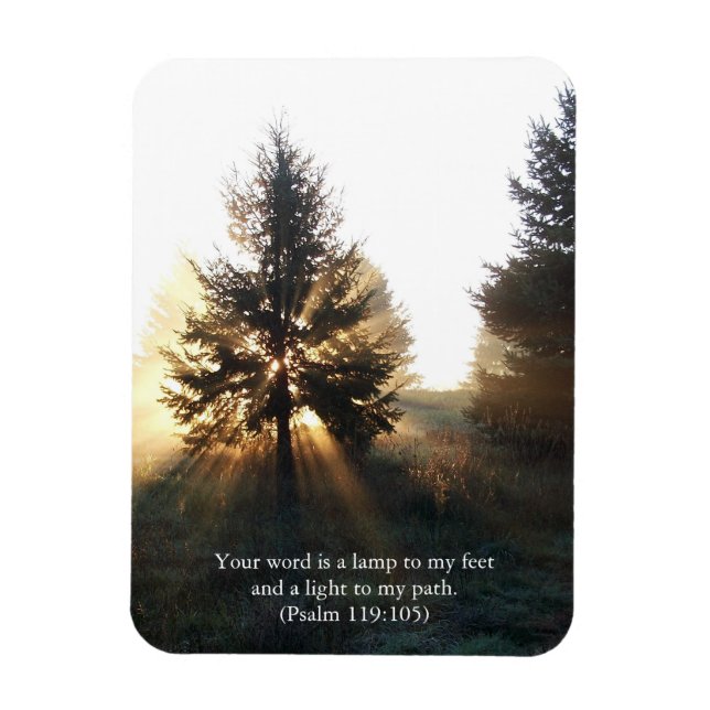 Lamp Unto My Feet Scripture Magnet (Vertical)