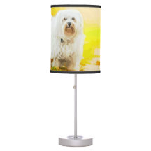 Tableau Portrait de Chien Havanais Bichon