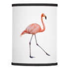 Flamant rose rose