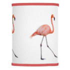Flamant rose rose