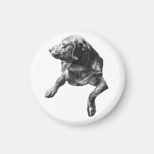 Lamplight Hush: Labrador Outline Magnet