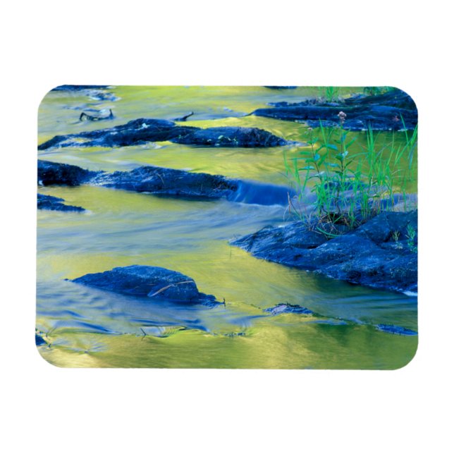 Lamprey River | New Hampshire Magnet (Horizontal)