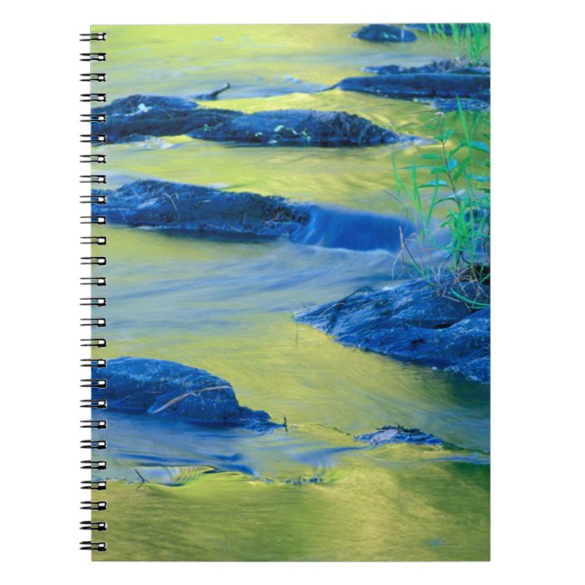 Lamprey River | New Hampshire Notebook (Front)