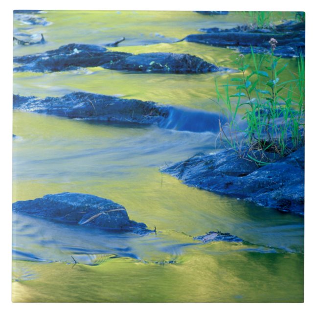Lamprey River | New Hampshire Tile (Front)