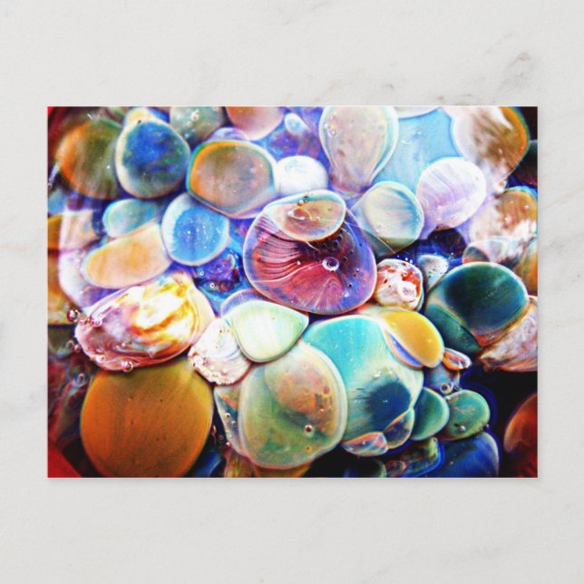 Lampwork Boro Glass Underwater Aquatic Postcard (Front)