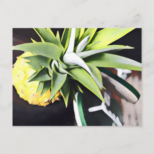 Lanai Day Trip postcard