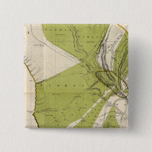 Lanai, Hawaii 2 Inch Square Button (Front)