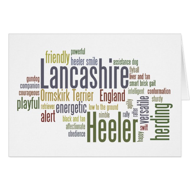 Lancashire Heeler (Devant horizontal)