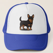 Lancashire Heeler Small But Mighty