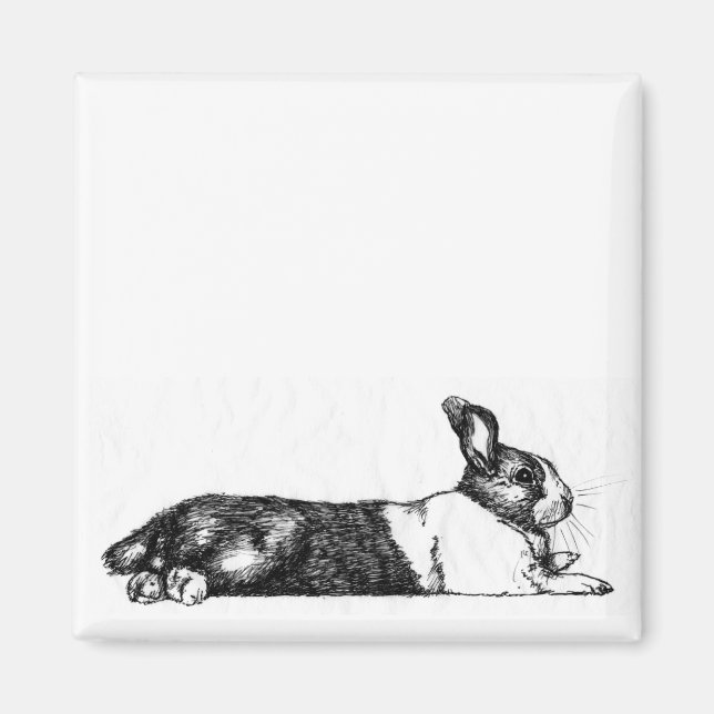 Lance the Unamused Bunneh Magnet (Front)