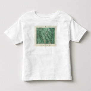 Land Classification Map of Idaho Toddler T-shirt