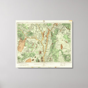 Land Classification Map of New Mexico Canvas Print