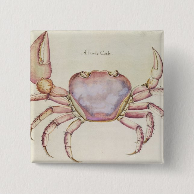 Land Crab 2 Inch Square Button (Front)
