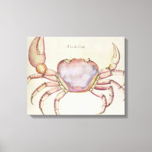 Land Crab Canvas Print