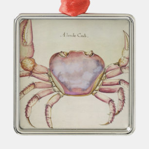 Land Crab Metal Ornament