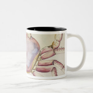 Land Crab Two-Tone Coffee Mug