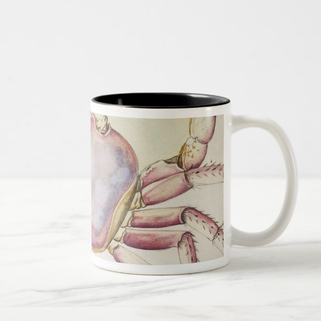 Land Crab Two-Tone Coffee Mug (Right)